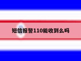 短信报警110能收到么吗