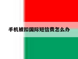 手机被扣国际短信费怎么办