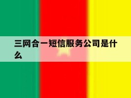 三网合一短信服务公司是什么