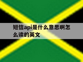 短信api是什么意思啊怎么读的英文