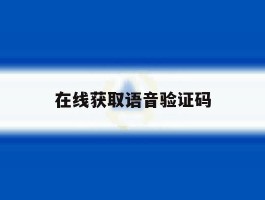 在线获取语音验证码