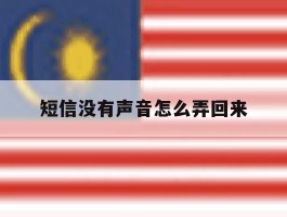 短信没有声音怎么弄回来