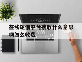 在线短信平台接收什么意思啊怎么收费