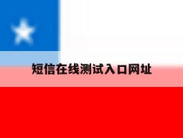 短信在线测试入口网址