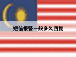 短信报警一般多久回复