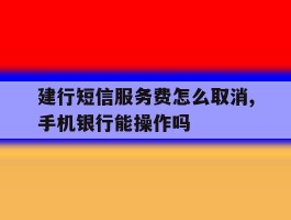 建行短信服务费怎么取消,手机银行能操作吗