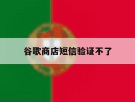 谷歌商店短信验证不了