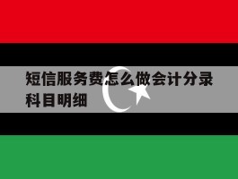 短信服务费怎么做会计分录科目明细