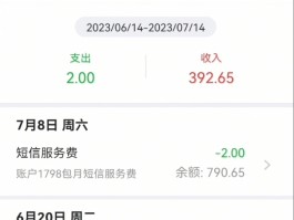 短信服务费支出3元什么意思