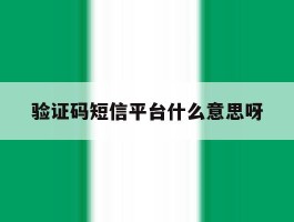 验证码短信平台什么意思呀