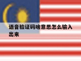 语音验证码啥意思怎么输入出来