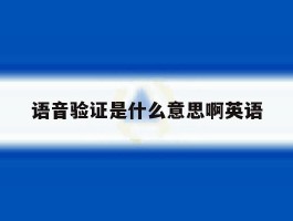 语音验证是什么意思啊英语