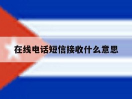 在线电话短信接收什么意思