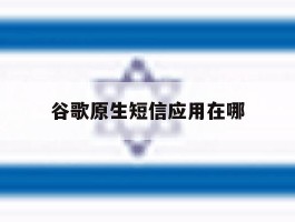 谷歌原生短信应用在哪