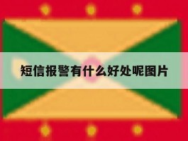 短信报警有什么好处呢图片