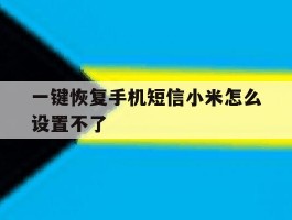 一键恢复手机短信小米怎么设置不了