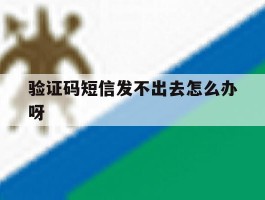 验证码短信发不出去怎么办呀