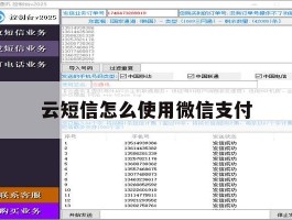 云短信怎么使用微信支付