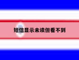 短信显示未读但看不到