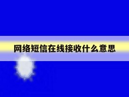 网络短信在线接收什么意思