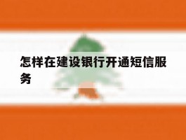 怎样在建设银行开通短信服务