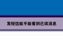发短信能不能看到已读消息