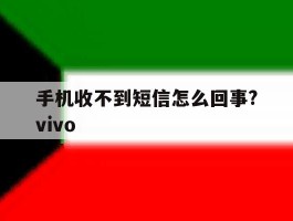 手机收不到短信怎么回事?vivo