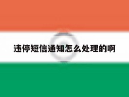 违停短信通知怎么处理的啊