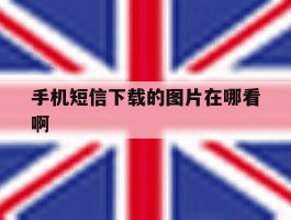 手机短信下载的图片在哪看啊