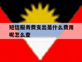 短信服务费支出是什么费用呢怎么查