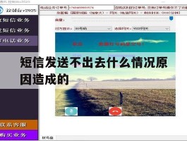 短信发送不出去什么情况原因造成的