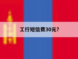 工行短信费30元?