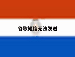 谷歌短信无法发送