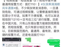 短信报警的方式是什么意思
