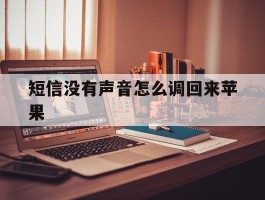 短信没有声音怎么调回来苹果
