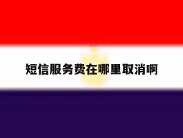 短信服务费在哪里取消啊