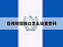 在线短信接口怎么设置密码