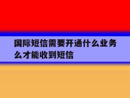 国际短信需要开通什么业务么才能收到短信的简单介绍
