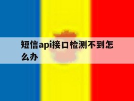 短信api接口检测不到怎么办