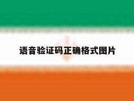 语音验证码正确格式图片