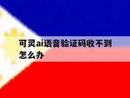 可灵ai语音验证码收不到怎么办