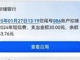 短信服务费30元是一年的吗多少钱啊怎么收费