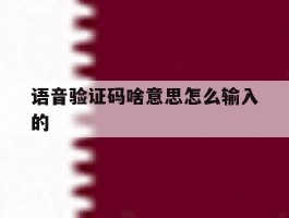 语音验证码啥意思怎么输入的