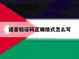 语音验证码正确格式怎么写