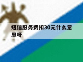 短信服务费扣30元什么意思呀