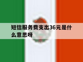短信服务费支出36元是什么意思呀