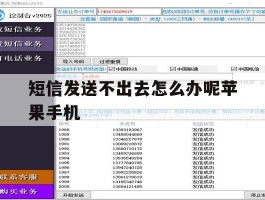 短信发送不出去怎么办呢苹果手机