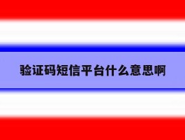 验证码短信平台什么意思啊