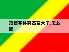 短信字体突然变大了,怎么调