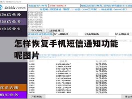 怎样恢复手机短信通知功能呢图片